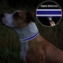 TagME Reflective Nylon Dog Collars, Adjustable Classic Collar with Quick Release Buckle for Large Dogs, Royal Blue