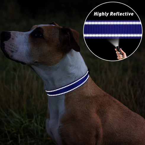TagME Reflective Nylon Dog Collars, Adjustable Pet Collar for Small Dogs, Royal Blue, 5/8" Width with Quick Release