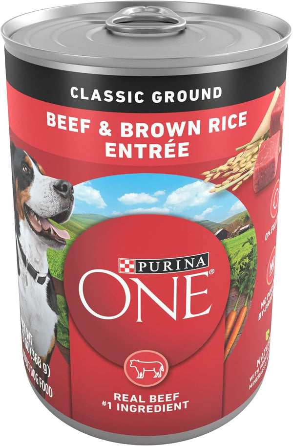 Purina ONE Classic Ground Beef and Brown Rice Entree Adult Wet Dog
