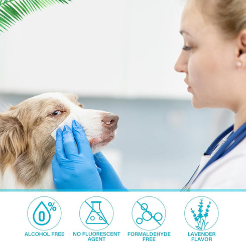 Treela 10 Packs of 800 Dog Wipes, Pet Grooming Supplies for Paws, Butt, Ear, Skin, Eye Cleaning, Coconut
