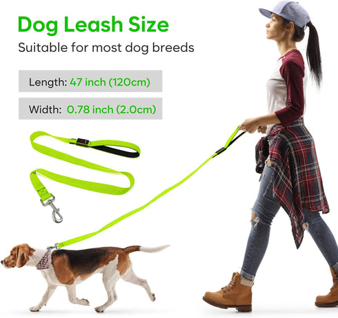 LED Light Up Dog Leash with 3 Lighting Modes, USB Rechargeable, High Visibility for Large Medium Small Pets