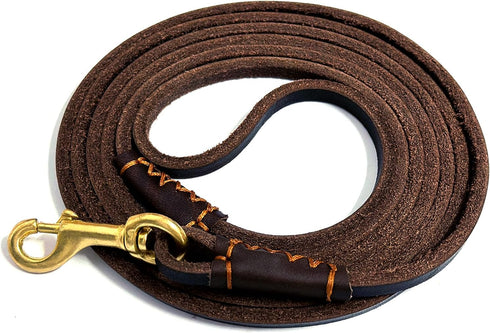 Guiding Star Leather Dog Leash, 6 ft for Small to Medium Dogs (1/5 inch Wide, Brown)