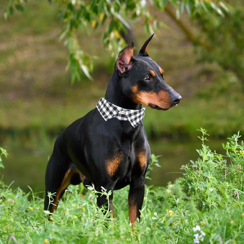 Cotton Dog Collar with Bowtie, Comfortable Adjustable Lapel Design for Small Medium Large Pets (Black White, L 14-22in)