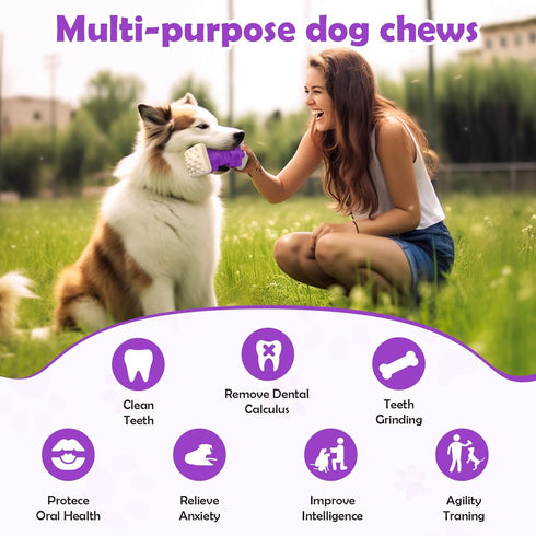 Tough Dog Toys for Aggressive Chewers - Indestructible Puzzle Toys, Interactive Chew Toys with Beef Flavor for All Dog