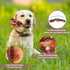 PETSTA Indestructible Dog Toys for Aggressive Chewers, Real Beef Flavored Dog Bone for Large and Medium Breeds