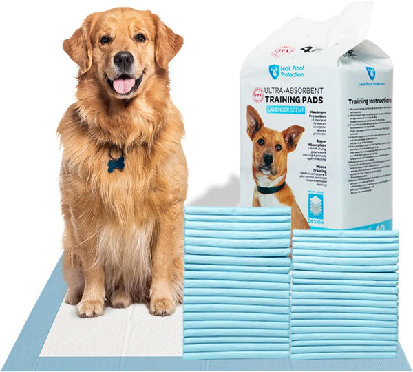 FPN Training Pads for Dogs 40 Count 24x24 6-Layer Ultra Absorbent Puppy