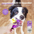 HGB Squeaky Dog Toys for Aggressive Chewers, Tough Indestructible Chew Toy for Large Medium Dogs
