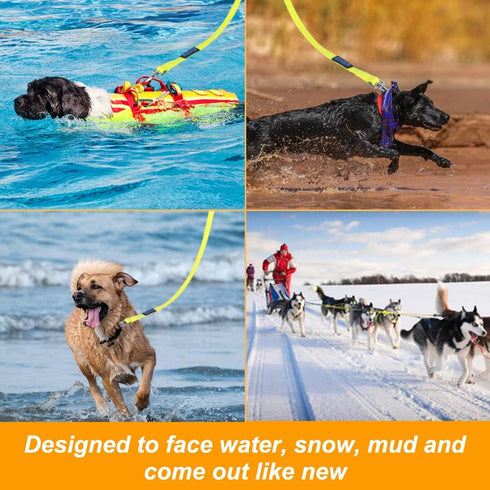 Vivifying Waterproof Long Dog Leash - 32ft Durable PVC Training Lead with Padded Handle for Recall Training and Outdoor