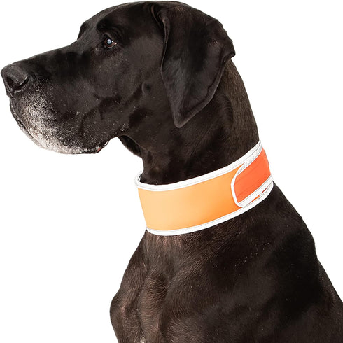Hi-Vis Dog Cooling Collar, Orange Reflective Re-Freezable Ice Collar (X-Large)