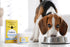 Probiora Dog Probiotic Supplement for Oral Care | 30 Servings Jar | Reduces Bad Breath & Supports Dental Health