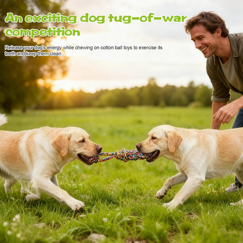 3 Tether Tug Outdoor Dog Toy with Upgraded Steel Stake & Adjustable Safety Rope, Includes Chew Toys , Durable