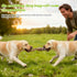 3 Tether Tug Outdoor Dog Toy with Upgraded Steel Stake & Adjustable Safety Rope, Includes Chew Toys , Durable