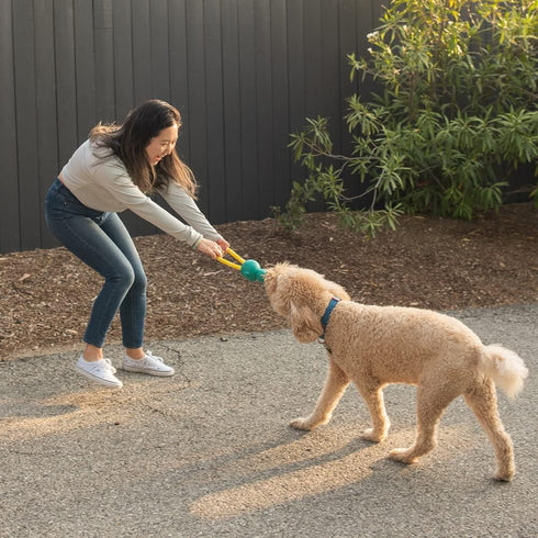 ZippyPaws RopeTugz - Pink Durable Dog Toy for Aggressive Chewers, Squeaky Chew Toy for Tug of War