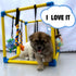 8 Dewonch Puppy Play Gym with Hanging Toys, Small Dogs Indoor Jungle Gym, PVC Frame with Bungee Straps Enrichment