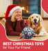 (6 Inch) QDAN Dog Balls, World Cup Soccer Ball with Straps, Durable Herding Balls for Small Medium Pet, Puppy Birthday