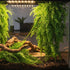 (6 Pack) PINVNBY Reptile Plants Hanging Fake Vines Boston Climbing Terrarium Plant with Suction Cup for Bearded Dragons