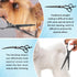 Tips,5 1 Set Dog Grooming Scissors,Black with Safety Round in Curved Dog Scissors for Grooming,Professional Pet