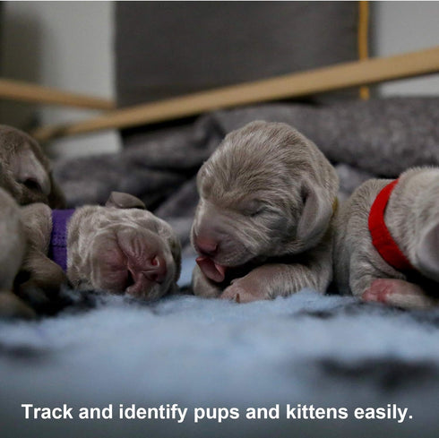 LUTER 15 Colors Puppy Collars 20x1cm - Soft Adjustable Whelping ID Collars for Newborn Dogs and Kittens