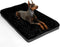 POCBLUE Deluxe Washable XL Dog Bed, 42 inch Comfy Fluffy Kennel Pad, Anti-Slip for Dogs Up to 90 lbs