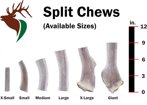 Small Split 5 Pack Premium Grade Elk Antlers for Dogs (5 Pieces) - Sourced in the USA, for 0-20 lb Dogs and Puppies