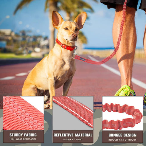 AUROTH Heavy Duty Bungee Dog Leash for Large Breed Dogs, No Pull with Car Seat Belt, 2 Padded Handles