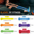 Resistance Bands Set, Pull Up Assist Bands for Mobility, Powerlifting Exercise Bands for Home Workouts