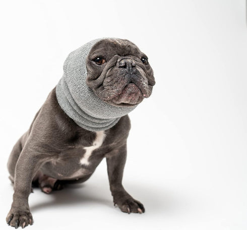 Pet Hoodz for Dogs - Anxiety, Grooming, Ear Muffs, Dog Ear Protection, Calming, Ear Compression Hoodie (Large, Grey)