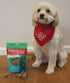 Charlee Bear Meaty Bites Dog Treats, Beef Liver & Apples, 2.5oz
