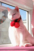 Cat Christmas Costume, Knit Pet Hat and Holiday Scarf, Winter Cat Outfits