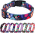 Rhea Rose Dog Collar - Special Design Cute Black Floral Pattern Collar for Large Dogs (Black, L)