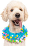 Midlee Blue Birthday Pom Pom Dog Collar, X-Large