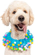 Midlee Blue Birthday Pom Pom Dog Collar, X-Large