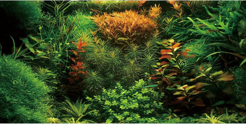 AWERT 48x18 inches Aquarium Background, Seagrass Aquatic Plant River Bed & Lake Vinyl Background