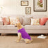 EXPAWLORER Dog Hoodie with Pocket, Polar Fleece Sleeveless Sweater for Small to Large Dogs, Warm Cozy Clothes
