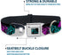 Dog Collar Seatbelt Buckle Harley Quinn Pow Aiming Poses Joker Black Turquoise Fuchsia 15 to 26 Inches