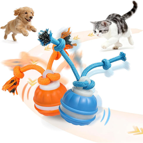 SPGSWCY 2-Pack Interactive Dog & Cat Toys for Small Dogs Indoor Cats -