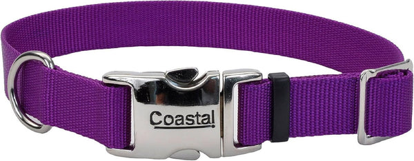 Coastal Pet Adjustable Dog Collar – Purple – 3/4" x 14" - 20" with Metal Buckle