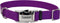 Coastal Pet Adjustable Dog Collar – Purple – 3/4" x 14" - 20" with Metal Buckle