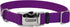 Coastal Pet Adjustable Dog Collar – Purple – 3/4" x 14" - 20" with Metal Buckle