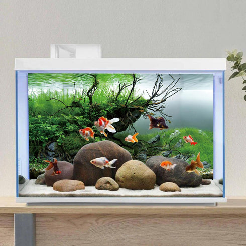 AWERT 24x16 inches Fish Tank Background, Branches, Seaweed, River Bed & Lake Aquarium Vinyl Background