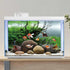 AWERT 72x24 inches Branches Fish Tank Background, Seaweed Aquarium Background, River Bed & Lake Aquarium Background