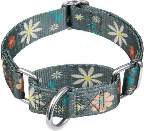 Floral Print Martingale Dog Collar by Dazzber, Heavy Duty Adjustable No Pull Collar for Extra Small Dogs (Neck 8-11