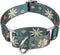 Floral Print Martingale Dog Collar by Dazzber, Heavy Duty Adjustable No Pull Collar for Extra Small Dogs (Neck 8-11