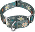 Floral Print Martingale Dog Collar by Dazzber, Heavy Duty Adjustable No Pull Collar for Extra Small Dogs (Neck 8-11