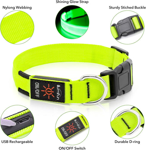 Illumifun Light Up Dog Collar - USB Rechargeable LED Glow in The Dark, Adjustable Pet Safety Lights, Green