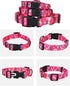 Rhea Rose Pink Dog Collar - Summer Daisy and Bees Print for Large Dogs