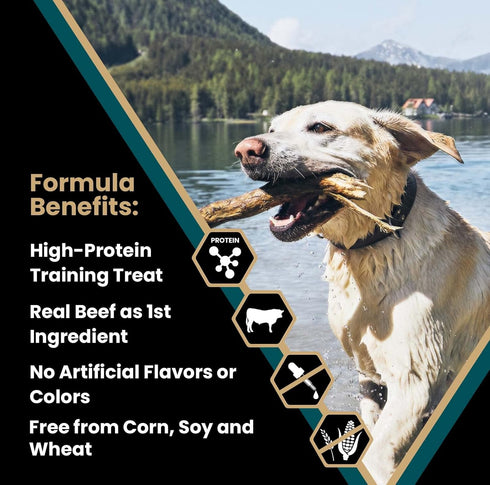Victor Super Premium Dog Treats, Classic Hi-Pro Bites, Training Treats with Real Beef, 14 oz
