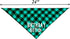Birthday Boy Dog Bandana in Green
