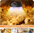 TFNN Lamps,200W-350W-500W 3-6-9-12H Chicken Coop Heater Reptile Heating Lamp Upgraded with UVA UVB Ligh Timer,Protable
