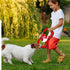 GAOMON Squeaky Dog Toys, Durable Plush Chew Toys in Fox Shape for Small and Medium Dogs
